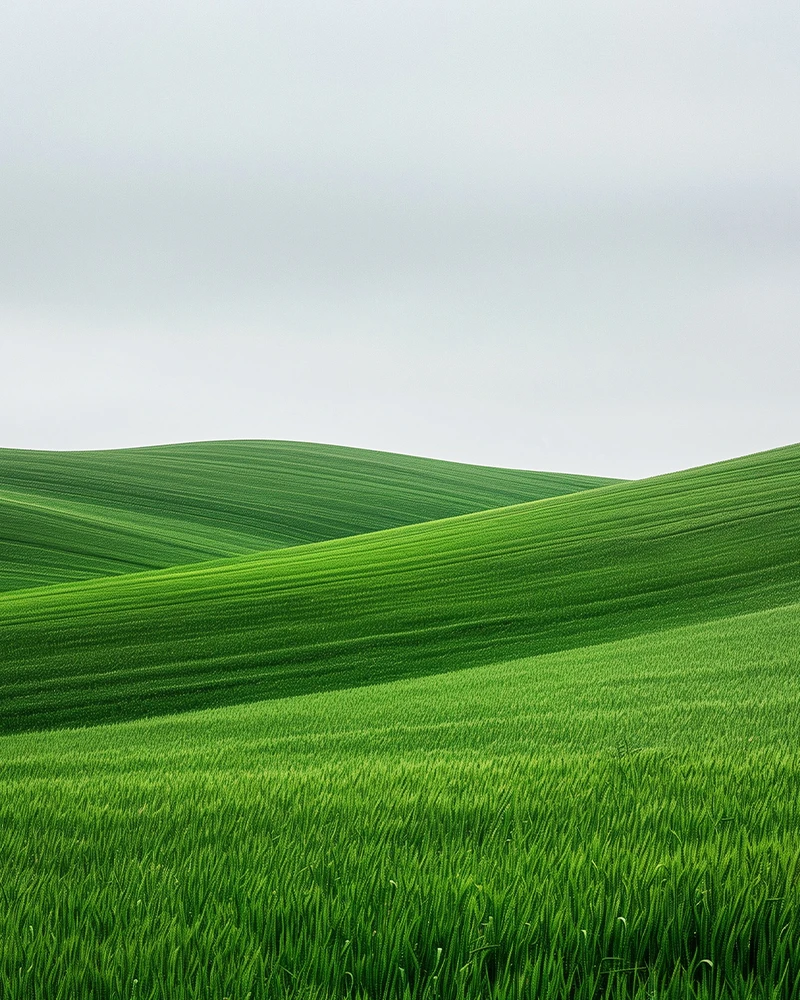 BG Image